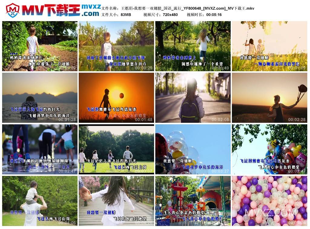 王湉玥-我想要一双翅膀_国语_流行_YF800648